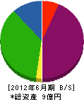 松井産業 貸借対照表 2012年6月期