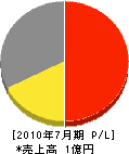 田川ライン 損益計算書 2010年7月期