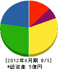 新潟ニッタン 貸借対照表 2012年8月期