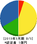 森田電気商会 貸借対照表 2013年3月期