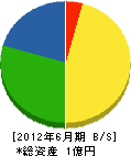 飯塚水道工務店 貸借対照表 2012年6月期