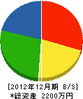渡辺建設 貸借対照表 2012年12月期