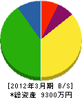 佐々木工業所 貸借対照表 2012年3月期