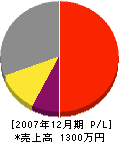 ビセイ・エイシイ 損益計算書 2007年12月期