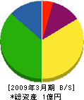 紫峰園 貸借対照表 2009年3月期