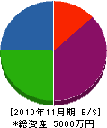 旭通信 貸借対照表 2010年11月期