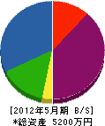 竹内電材 貸借対照表 2012年5月期
