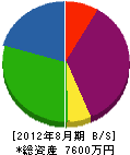 武田塗装 貸借対照表 2012年8月期