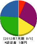 瀬川定建設 貸借対照表 2012年7月期