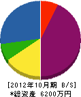 大翔電気 貸借対照表 2012年10月期