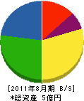 新潟ニッタン 貸借対照表 2011年8月期