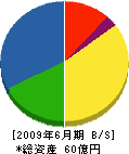島根電工 貸借対照表 2009年6月期
