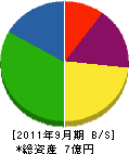田中建設興業 貸借対照表 2011年9月期