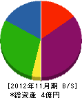 ヤマダ地所 貸借対照表 2012年11月期