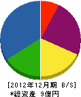 谷村製作所 貸借対照表 2012年12月期