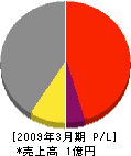 丸富士 損益計算書 2009年3月期