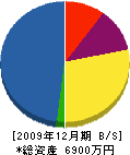中井水道商会 貸借対照表 2009年12月期