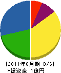 松波共和電機商会 貸借対照表 2011年6月期
