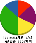 小塚電気商会 貸借対照表 2010年4月期