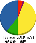 辰巳組 貸借対照表 2010年12月期
