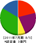 竹内クレーン工業 貸借対照表 2011年7月期
