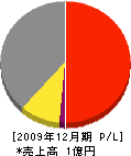 掛田工務店 損益計算書 2009年12月期