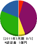 東京プラント工業 貸借対照表 2011年3月期