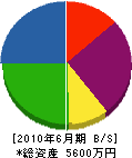 神田建設 貸借対照表 2010年6月期