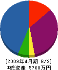 田中設備 貸借対照表 2009年4月期