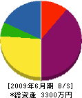 倉井工務店 貸借対照表 2009年6月期