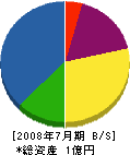 飯島ポンプ製作所 貸借対照表 2008年7月期