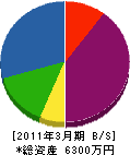 橋本園芸 貸借対照表 2011年3月期