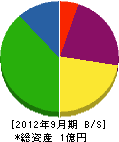日本パーキングシステムサービス 貸借対照表 2012年9月期