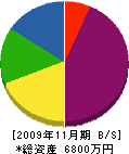 高橋緑花園 貸借対照表 2009年11月期