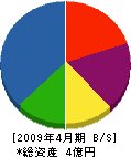 堂本 貸借対照表 2009年4月期