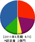 野矢設備工業所 貸借対照表 2011年6月期