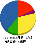 田上組 貸借対照表 2010年3月期
