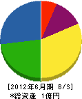 池田組 貸借対照表 2012年6月期
