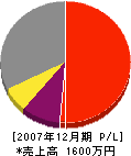 藏端組 損益計算書 2007年12月期