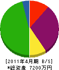 竹栄建設 貸借対照表 2011年4月期