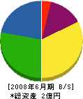 徳川建設 貸借対照表 2008年6月期