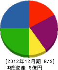 高田塗装 貸借対照表 2012年12月期