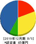 沢木組 貸借対照表 2010年12月期