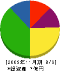 角田建設工業 貸借対照表 2009年11月期