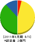 藤川建設 貸借対照表 2011年6月期