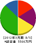 丸田設備 貸借対照表 2012年3月期