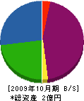 近藤電業社 貸借対照表 2009年10月期