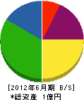 名阪造園 貸借対照表 2012年6月期