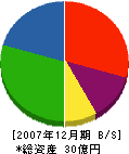 山形クボタ 貸借対照表 2007年12月期