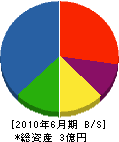 中塚工業 貸借対照表 2010年6月期